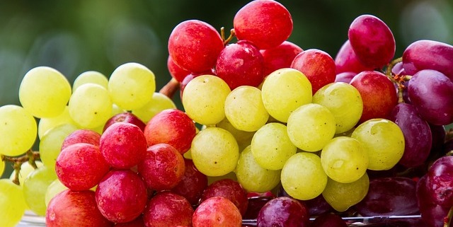 Waarom bevroren fruit kiezen?